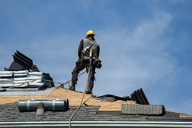 Professional Roofing technician working in Lamar, IN